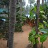 royal touch beach huts and restaurant