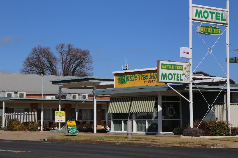wattle tree motel