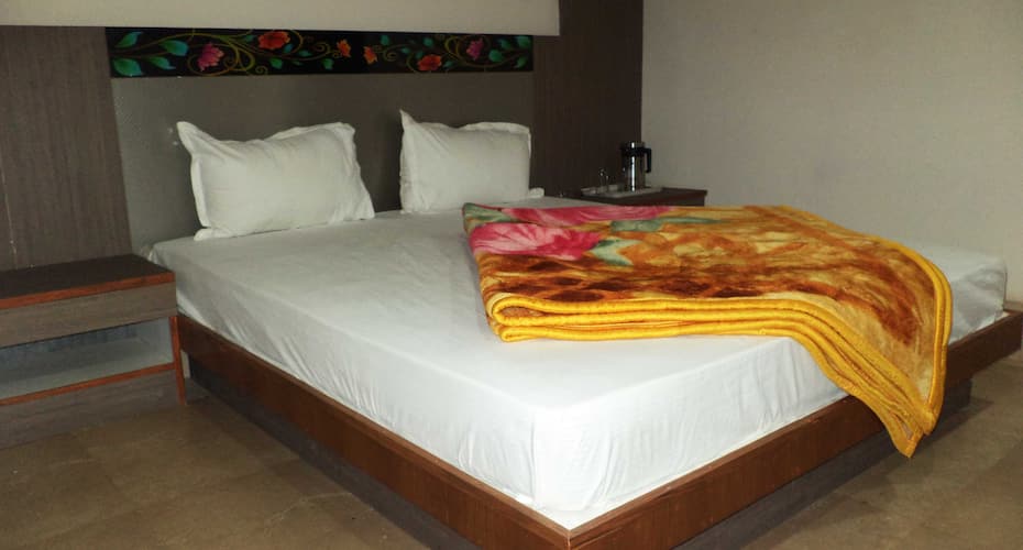 hotel krishna palace