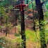 ayar jungle resort