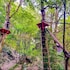 ayar jungle resort