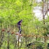 ayar jungle resort