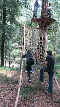 ayar jungle resort