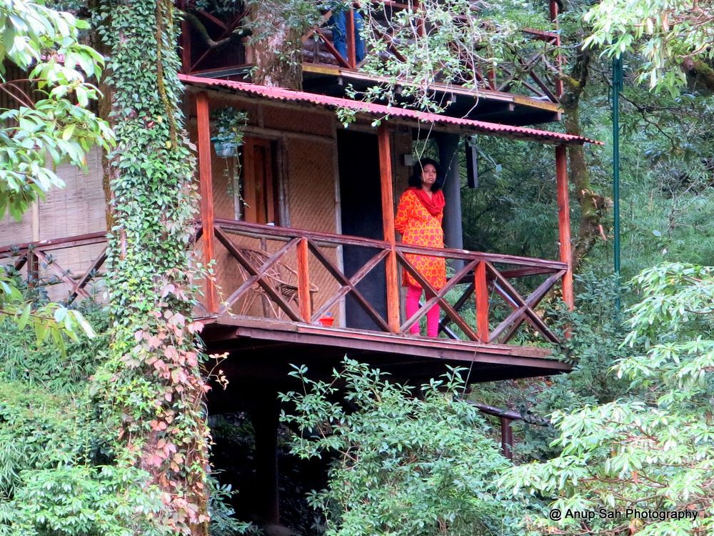 ayar jungle resort