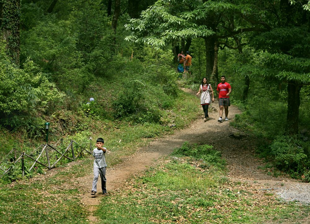 ayar jungle resort