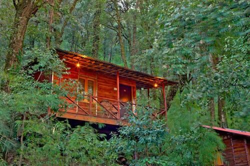 ayar jungle resort