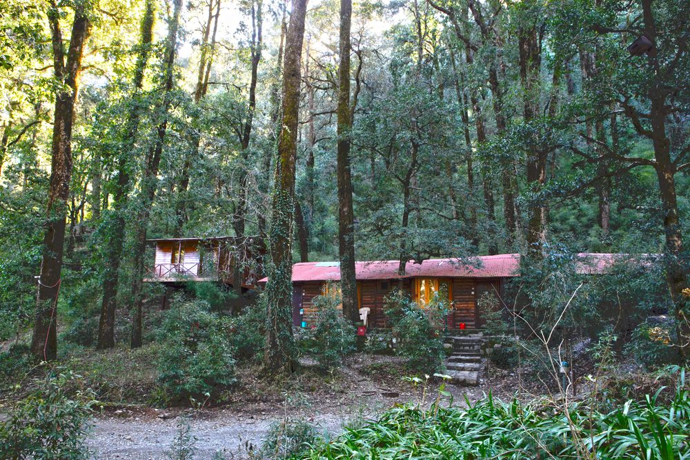 ayar jungle resort
