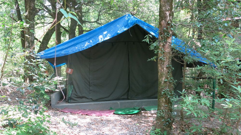 ayar jungle resort