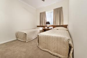 apartments on palmer