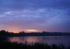 Tantarra Guest House,Near Hunter Ice Skating Stadium,3 star