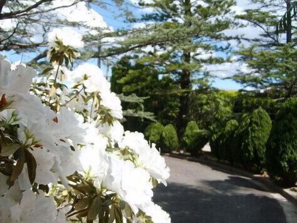 tantarra guest house