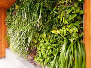 vine serviced apartments