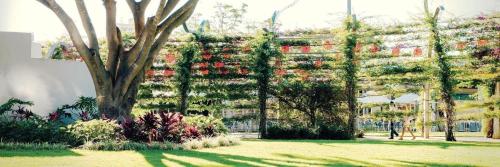 vine serviced apartments