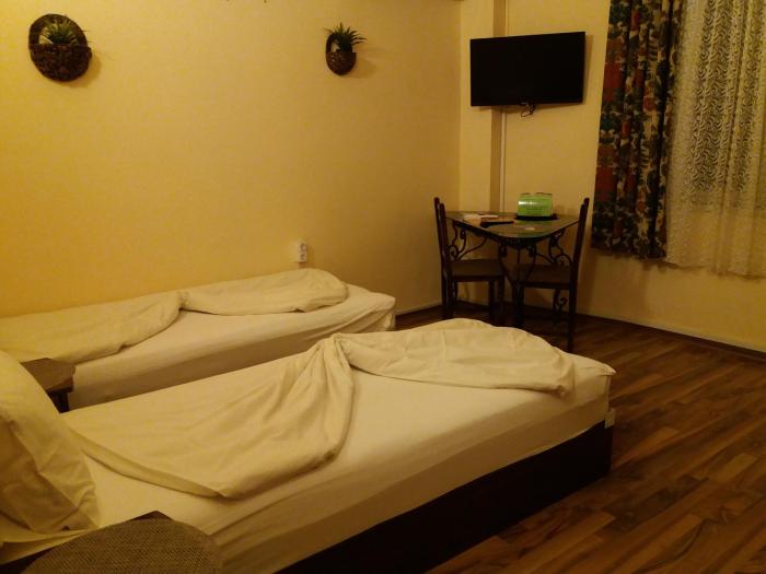 the english guest house