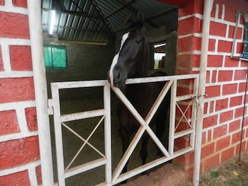 hotel sawai mansing hill resort