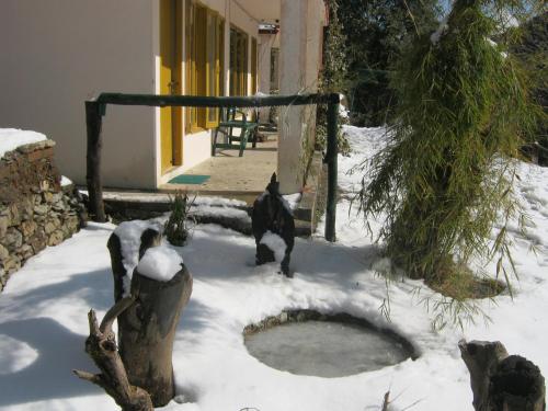 janardan resort pangot