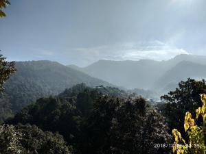 janardan resort pangot