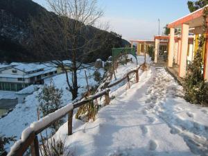 janardan resort pangot