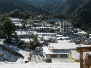 janardan resort pangot