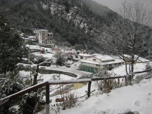 janardan resort pangot