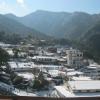 janardan resort pangot