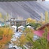 leh