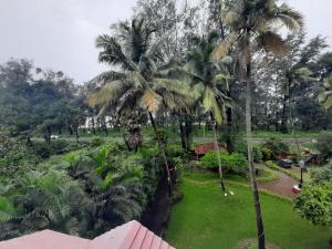 dahanu