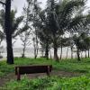 dahanu
