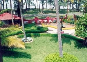 dahanu