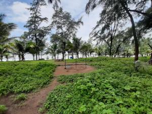 dahanu