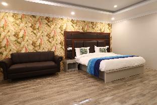 German Residency,India>>Srinagar,3 star