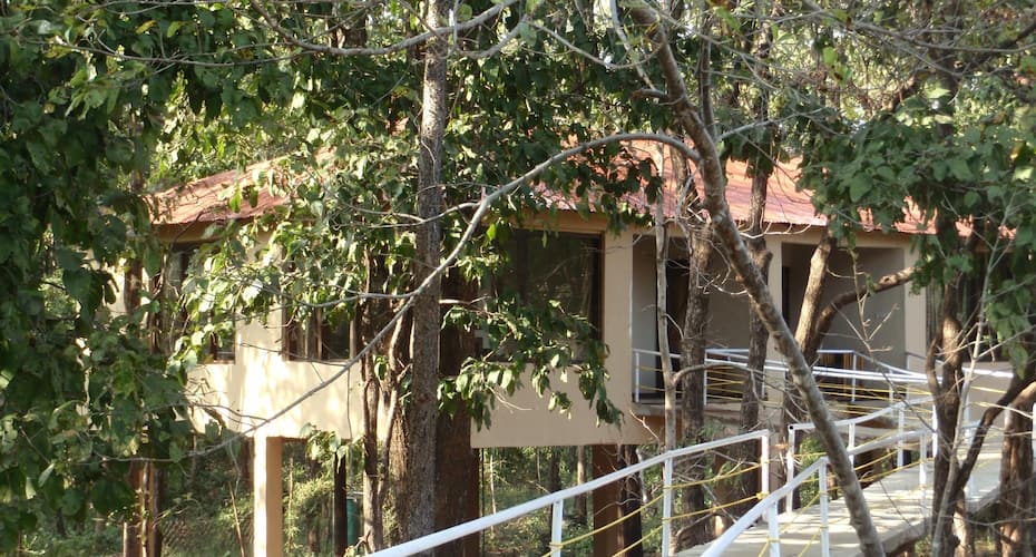 sakoli