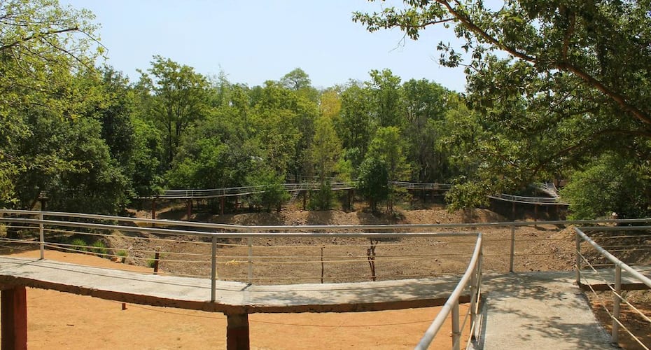 sakoli