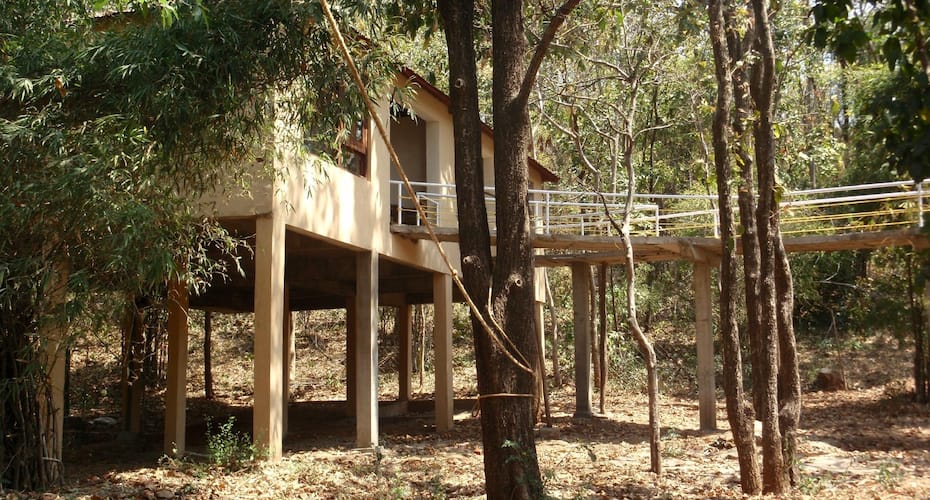 sakoli