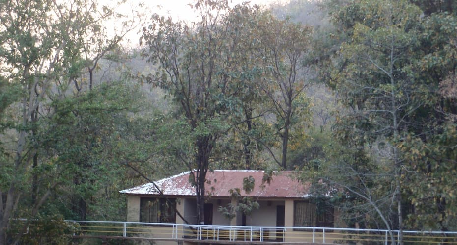 sakoli