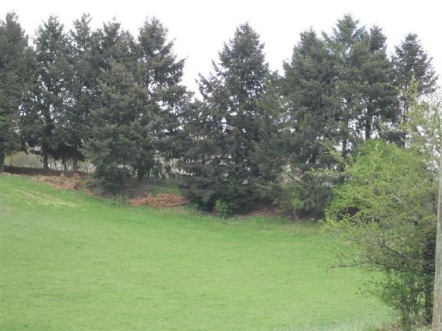 domaine de janis and spa