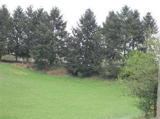 domaine de janis and spa