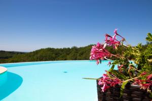 domaine de janis and spa