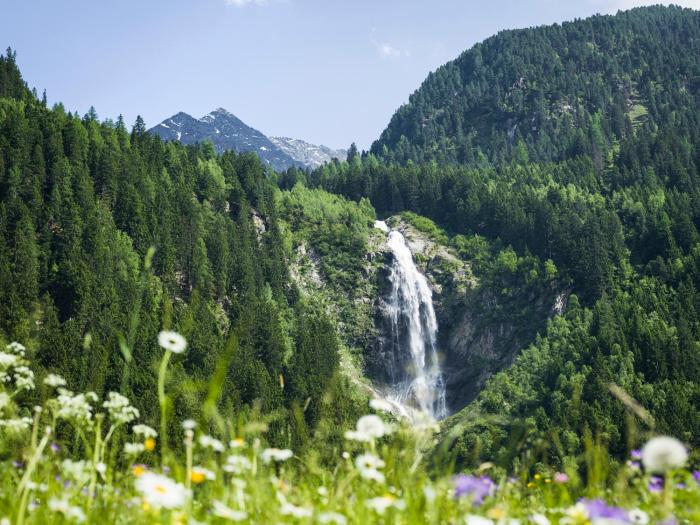 alpenchalet vital