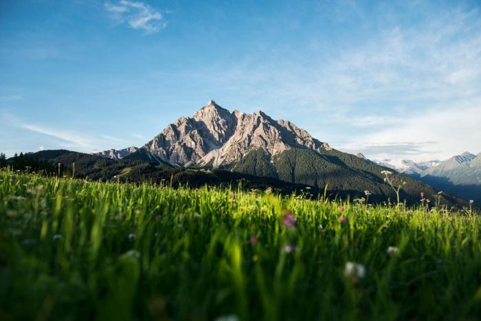 alpenchalet vital