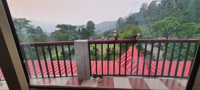 nainital