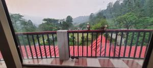 nainital