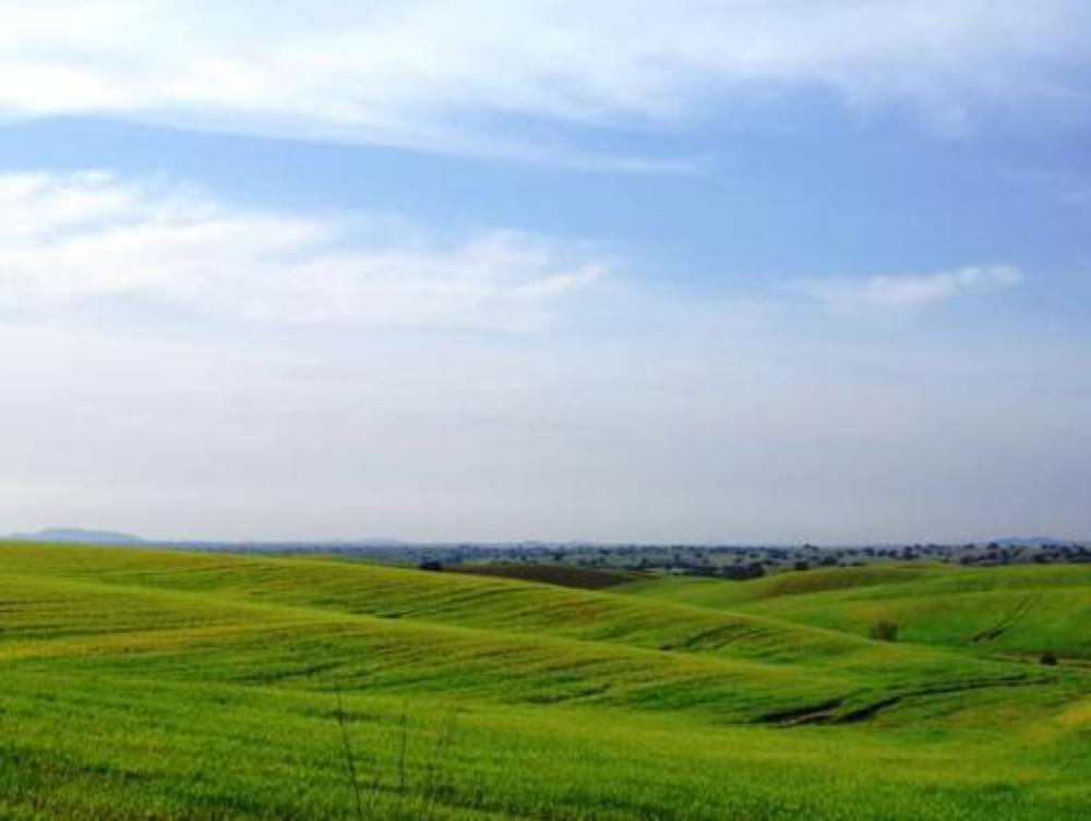 monte da corte ligeira