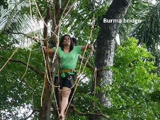 Panther Jungle Stay,,3 star