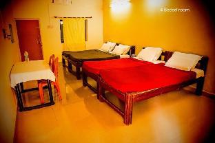 Panther Jungle Stay,,3 star