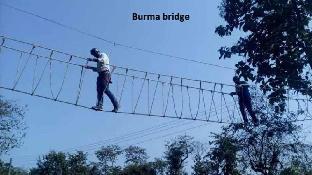 Panther Jungle Stay,,3 star