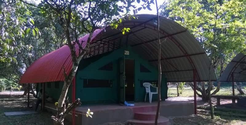 dandeli