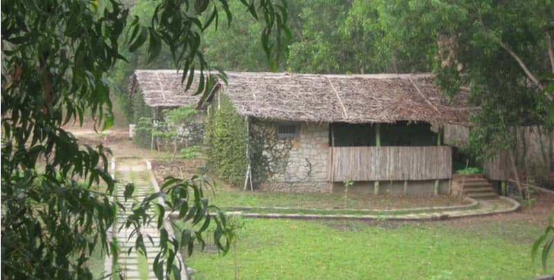 dandeli