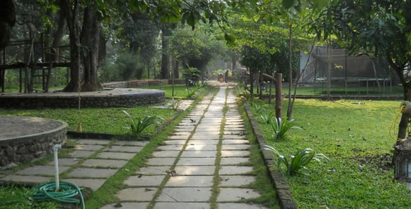 dandeli
