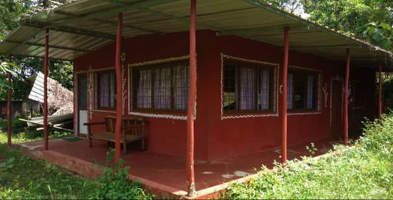 dandeli